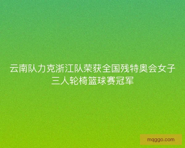 云南队力克浙江队荣获全国残特奥会女子三人轮椅篮球赛冠军